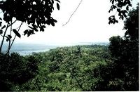 Vista del Mirador