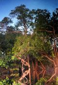 Landscape of surrounded region of Juma Hotel
