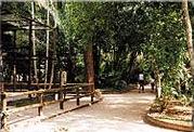 Mini Zoo