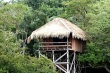 Jungle Lodges