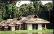 Mamirau� Ecotourism