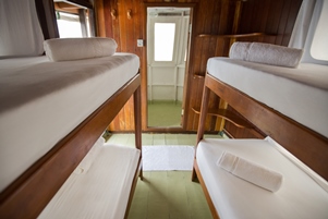 Cabin Tinga