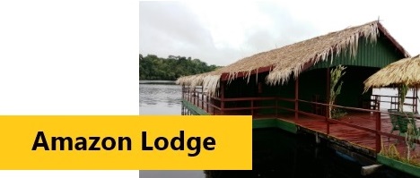 Amazon Lodge - Click for further information and Rates