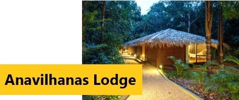 Anavilhanas aerial view - Click for further information and Rates
