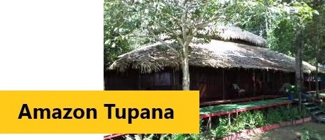 Amazon Tupana Lodge - Click for further information and Rates