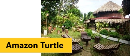 Amazon Turtle Lodge - Click for further information and Rates