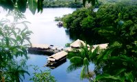 Jungle Lodges