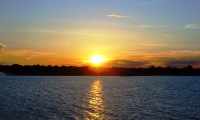 Navigate by the Amazon Basin!