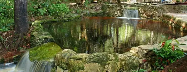 Amazon Ecopark - piscina
