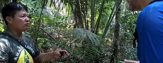 Amazon Eco Lodge - Biodiversidade -