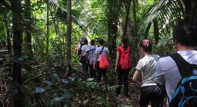 Excursões - Caminhada na floresta