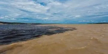 Excursões - Encontro das águas