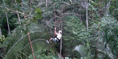 Excursões - Escalada em árvores