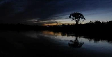 Excursões - Pernoite na floresta