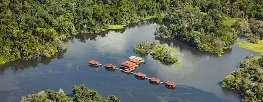 Jungle Lodges