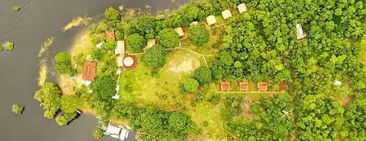 Amazon Turtle - Aérea
